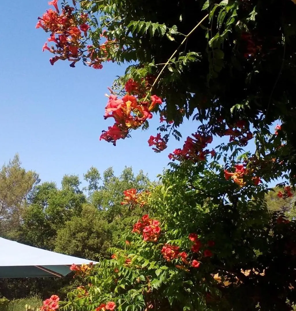 Holiday home Le Bois Des Combes Cottage Lorgues France